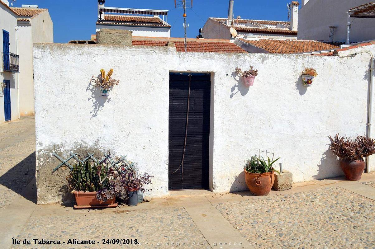21 ALICANTE L ILE DE TABARCA (88).JPG